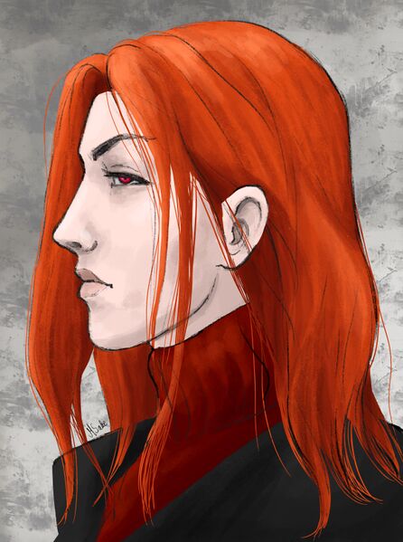 Plik:Zygfryd profil2.jpg