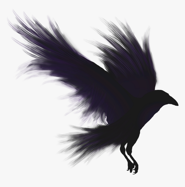 Plik:Shadow crow.png
