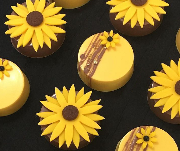 Plik:Słoneczne serniczki.png